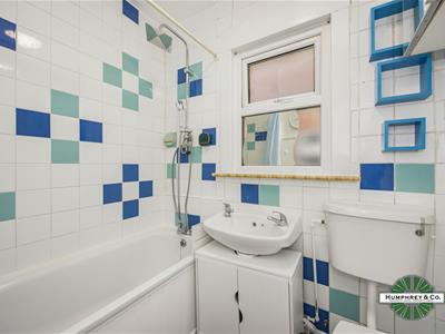 Picture 20